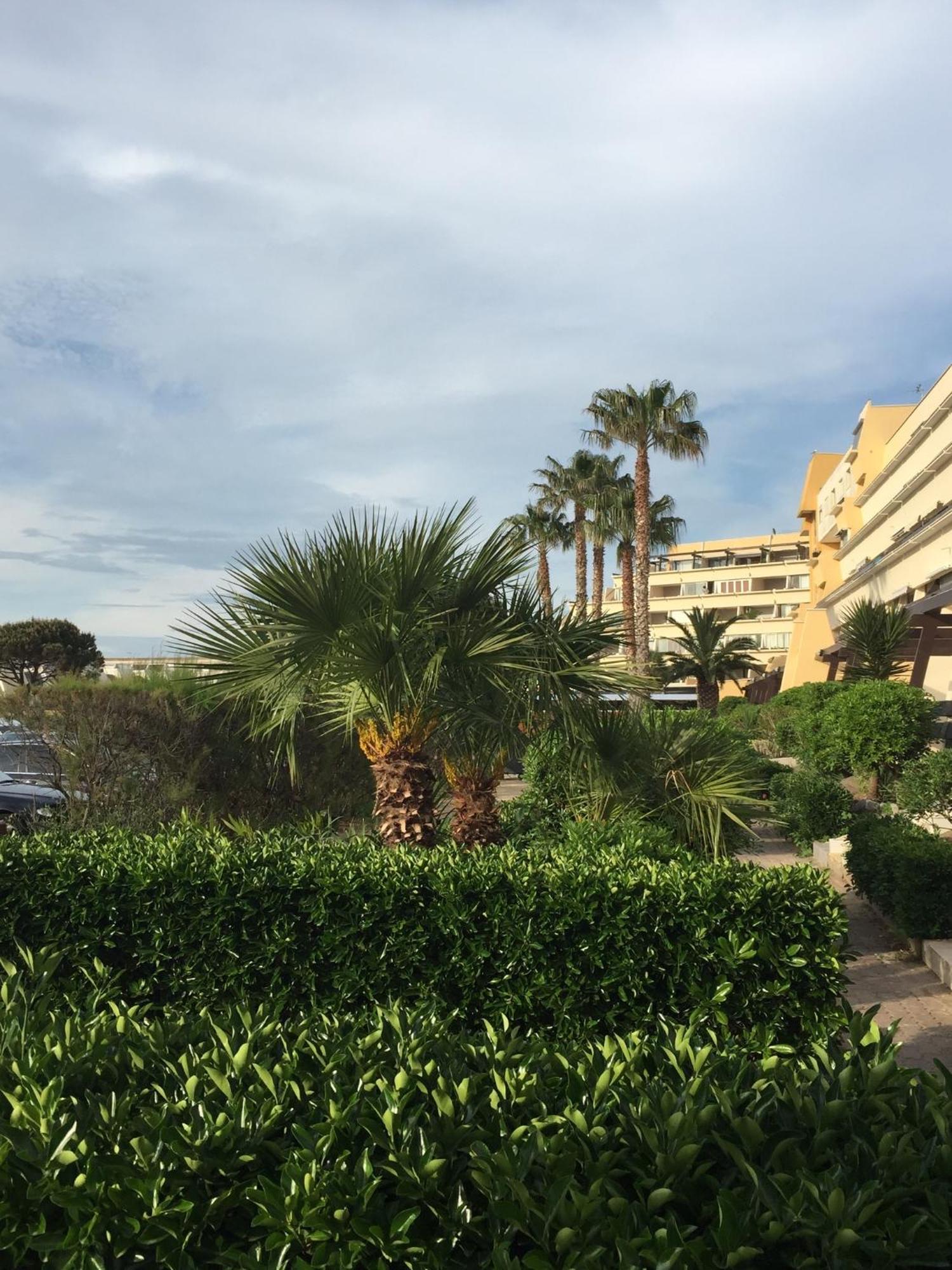 Residence Port Nature By 8-Homes Vue Port Agde Esterno foto